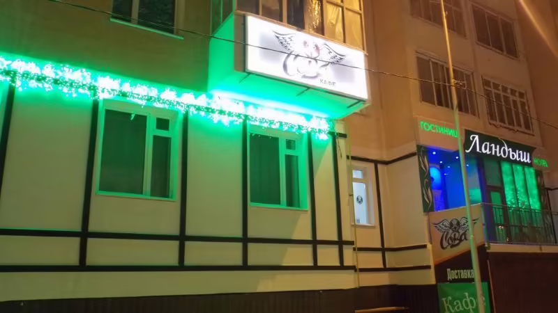 ЛАНДЫШ