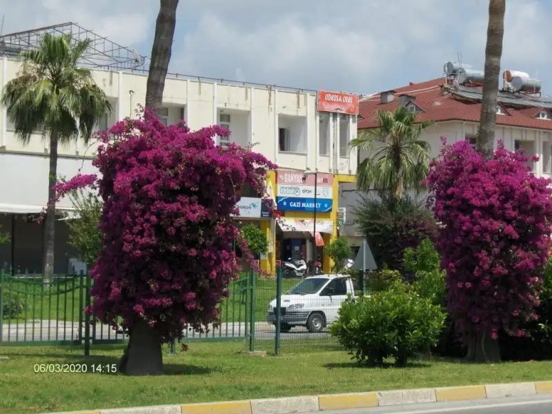ODESSA OTEL AVSALLAR