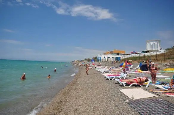 ДЕЛЬФИН НИКОЛАЕВКА