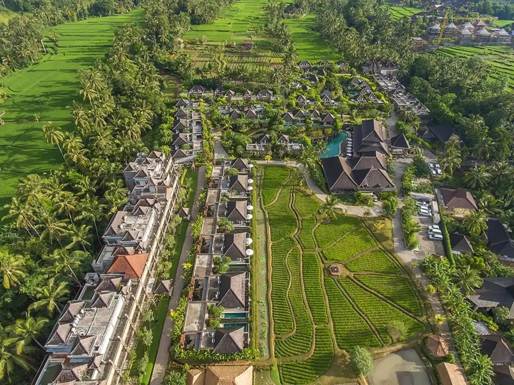 DESA VISESA UBUD