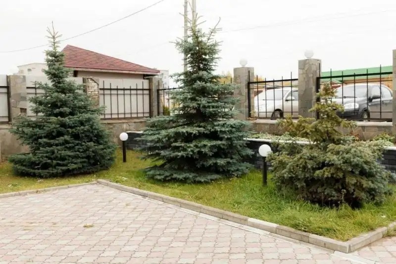 ЛАБИРИНТ