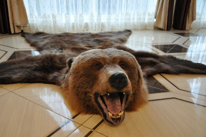ВИЛЛА МЕДВЕДЬ