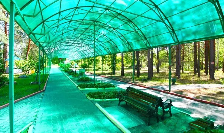 ПРИДНЕПРОВСКИЙ