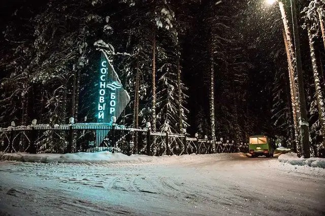 СОСНОВЫЙ БОР