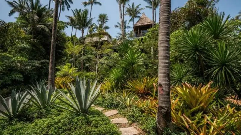 FOUR SEASON RESORT SAMUI