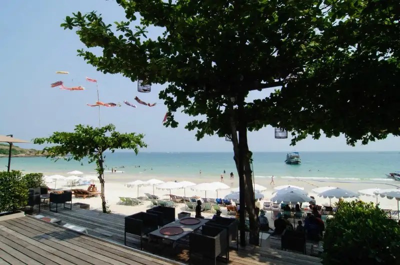 SAMED GRAND VIEW RESORT