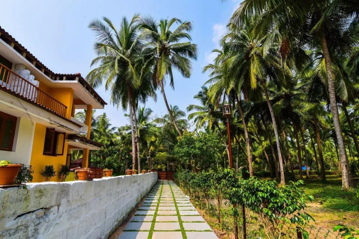 MEADOW VIEW RESORT