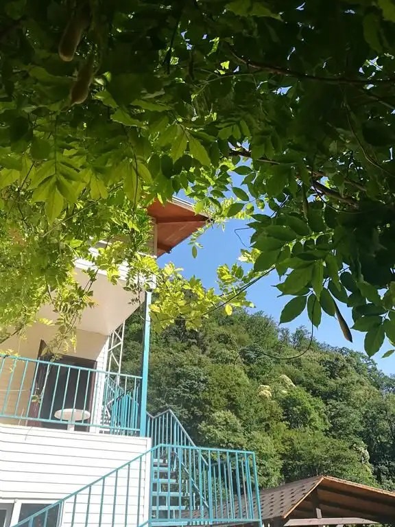 ДОМИК В УЩЕЛЬЕ