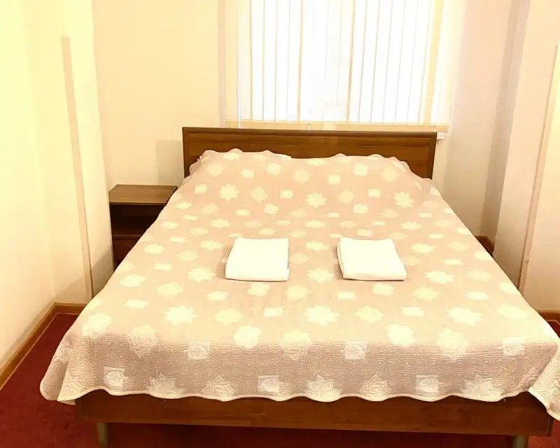 ВИЗИТ МАМАЙКА