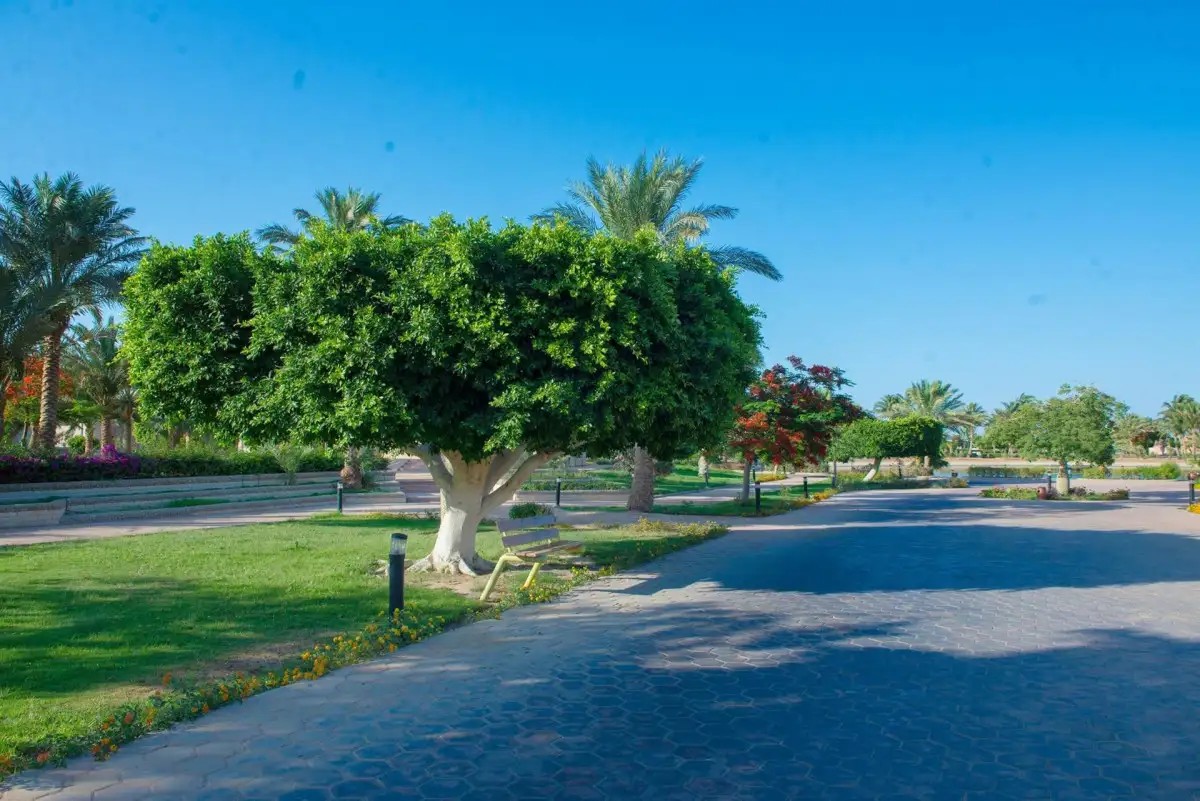 PHARAOH AZUR RESORT (EX. SONESTA PHARAOH) 