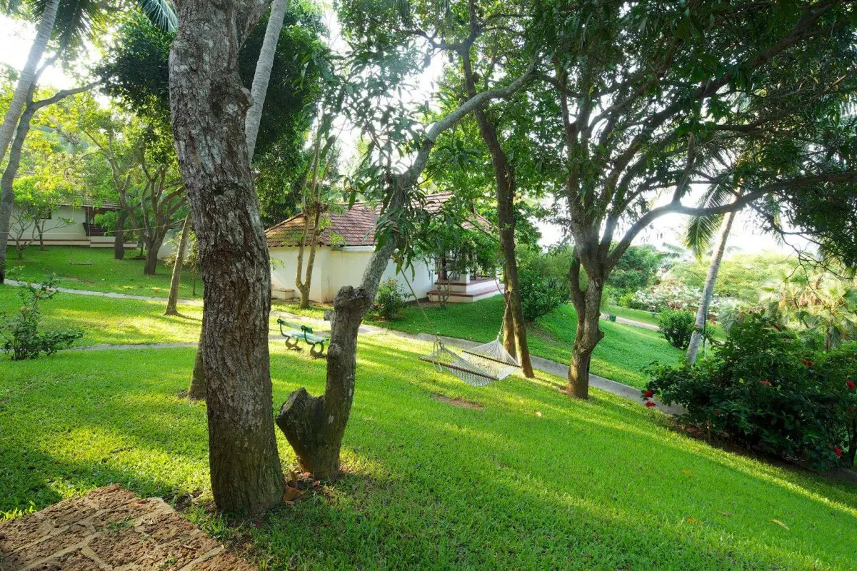 THE TRAVANCORE HERITAGE