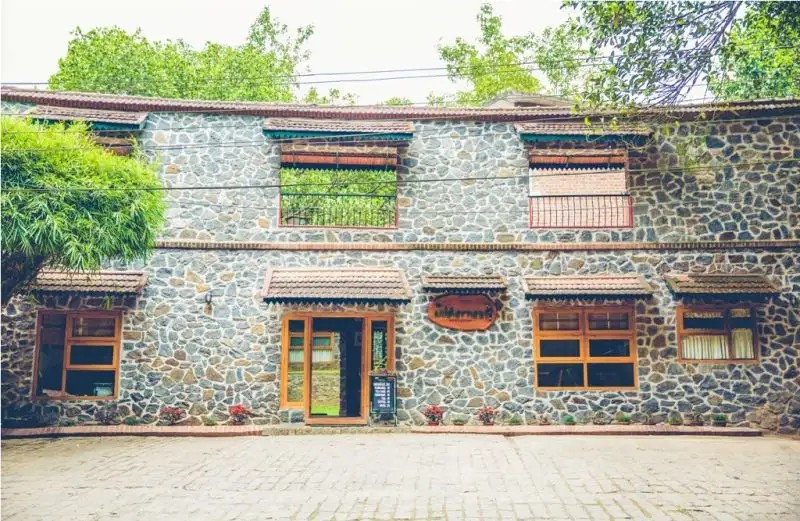 THE WILDERNEST