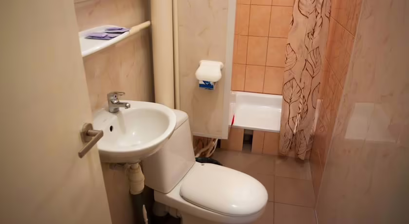 СТАРЫЙ ДУБ