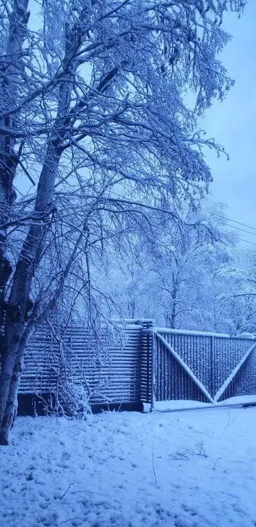 БЕЛЫЙ СНЕГ (WHITE SNOW)
