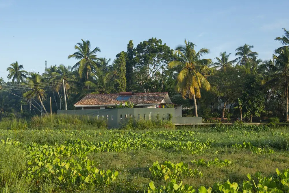 LUXURY VILLA 4