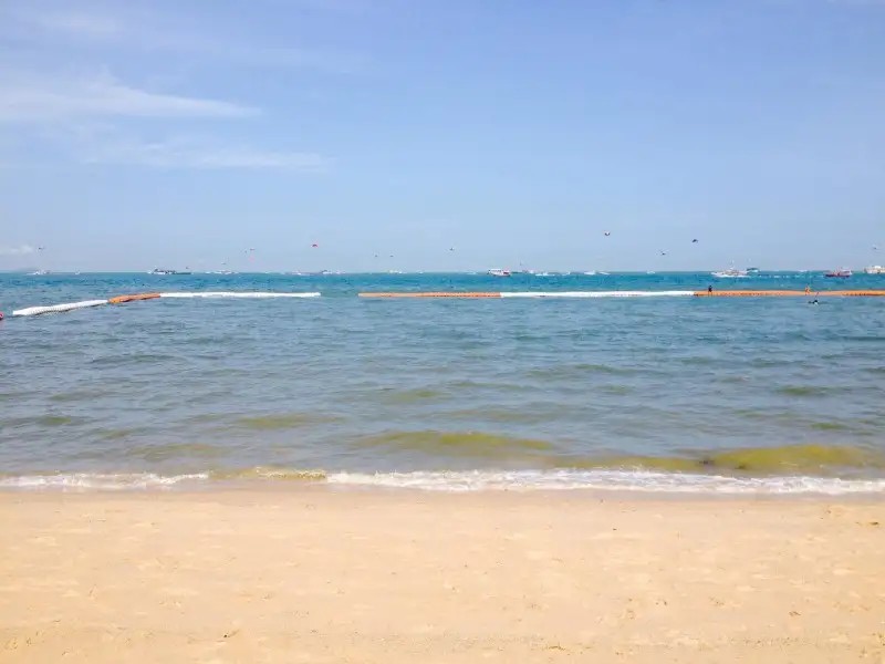 WAVE