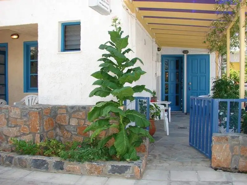 JOANNA APARTMENTS