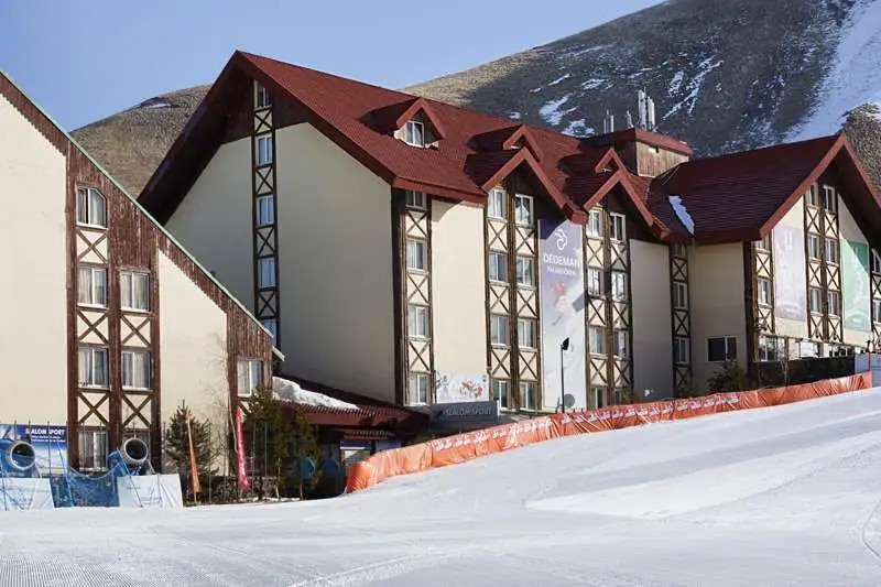 DEDEMAN ERZURUM PALANDOKEN