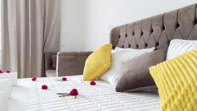 CANARY GOLDEN (EX. CANARY NUNGWI)