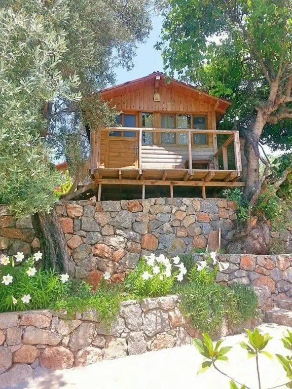 OLIVE GARDEN KABAK