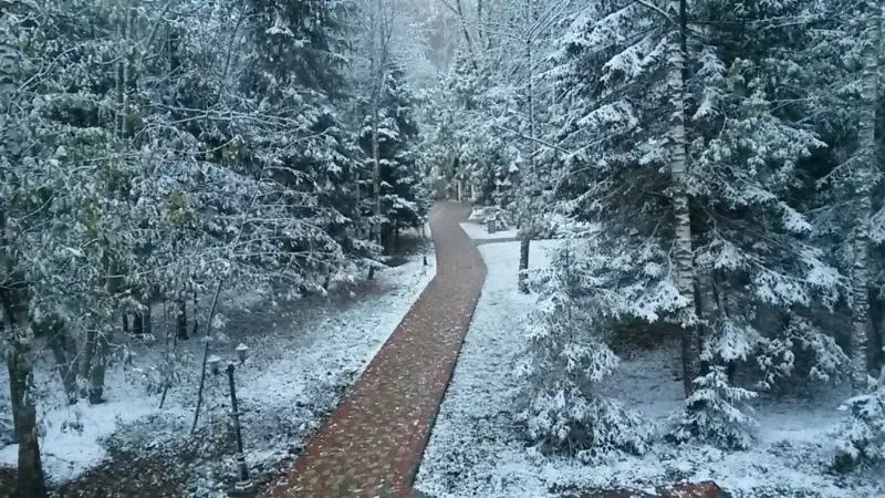 ГОСТЕВОЙ ДОМ ДИКИЙ ЛИС