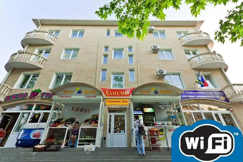 КАМЕЛИЯ ГОСТЕВОЙ ДОМ