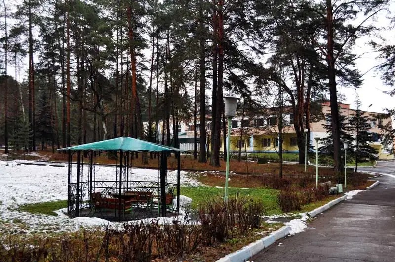ЛЕСНАЯ ОПУШКА