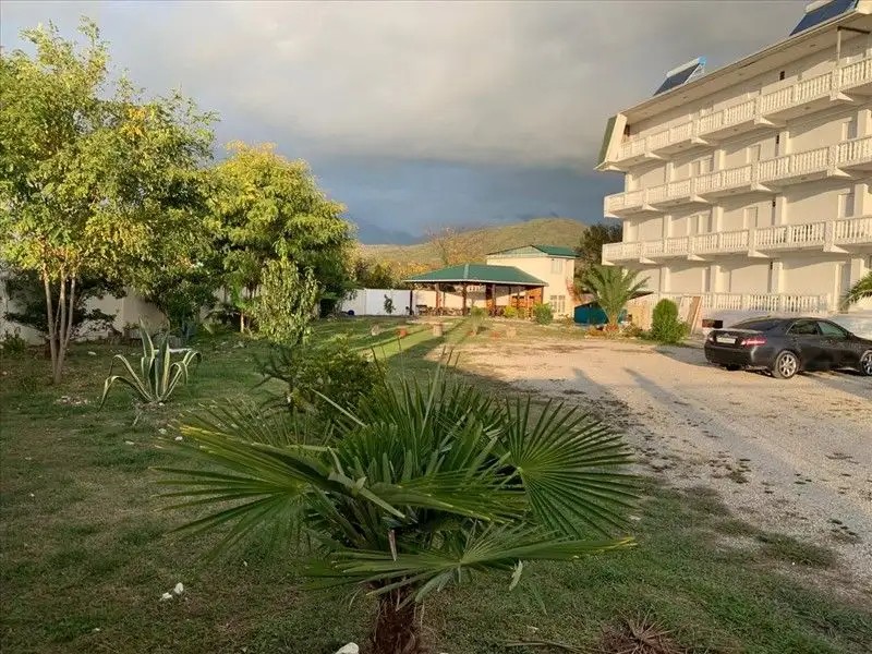 БЕЛАЯ ПАНАМА (АГАВА)