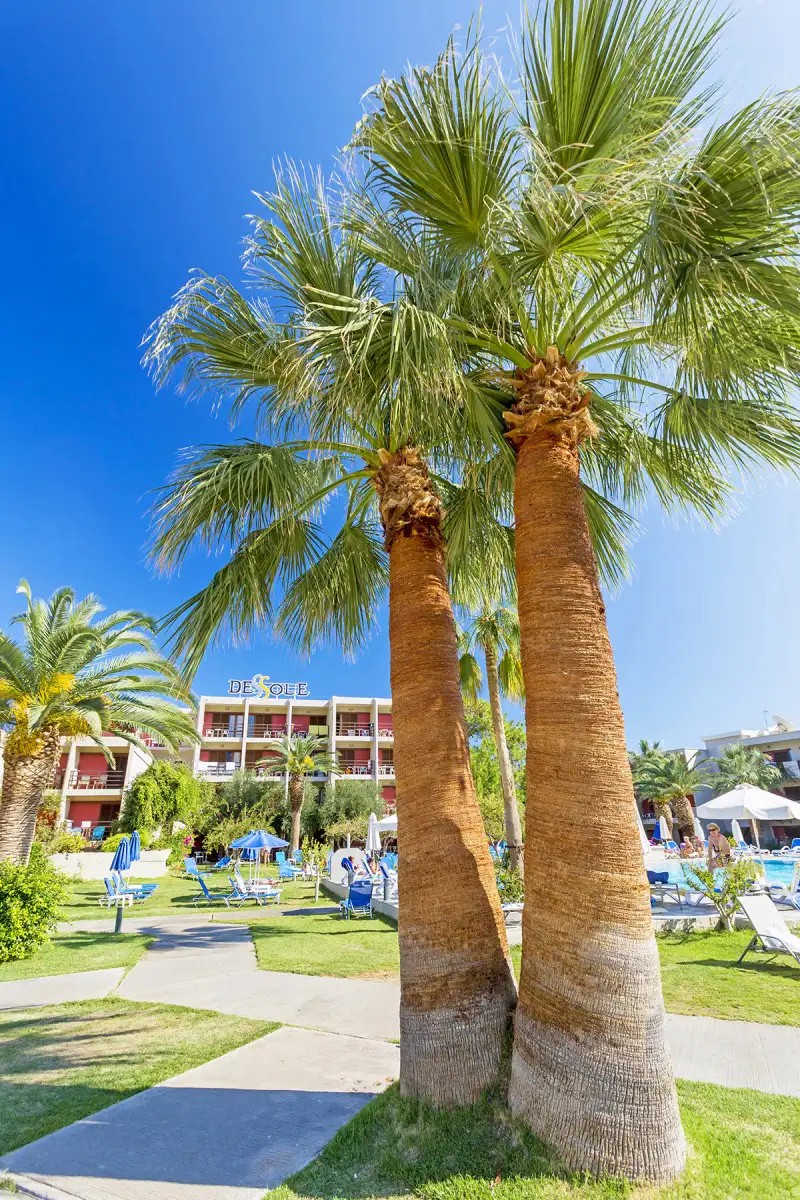 DESSOLE MALIA BEACH