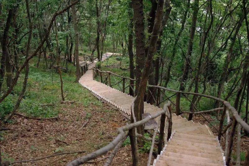 THE CLIFF BEACH & SPA