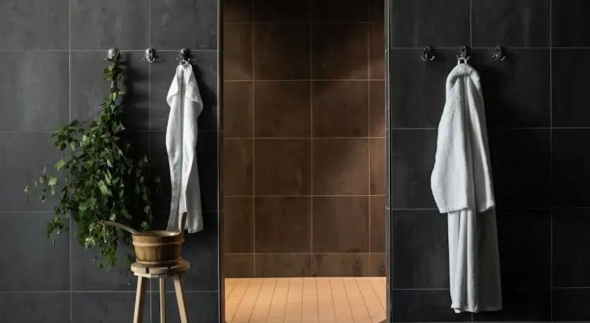 PULLMAN DRESDEN NEWA