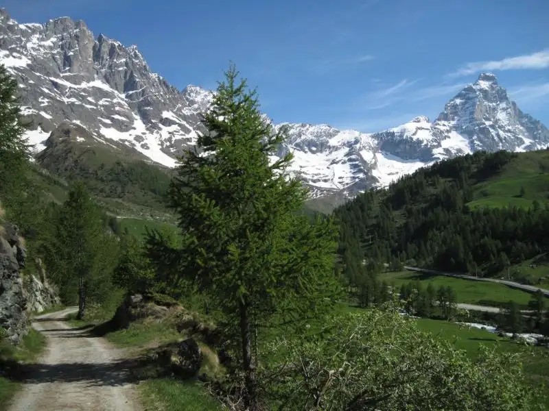 MEUBLE MERIDIANA