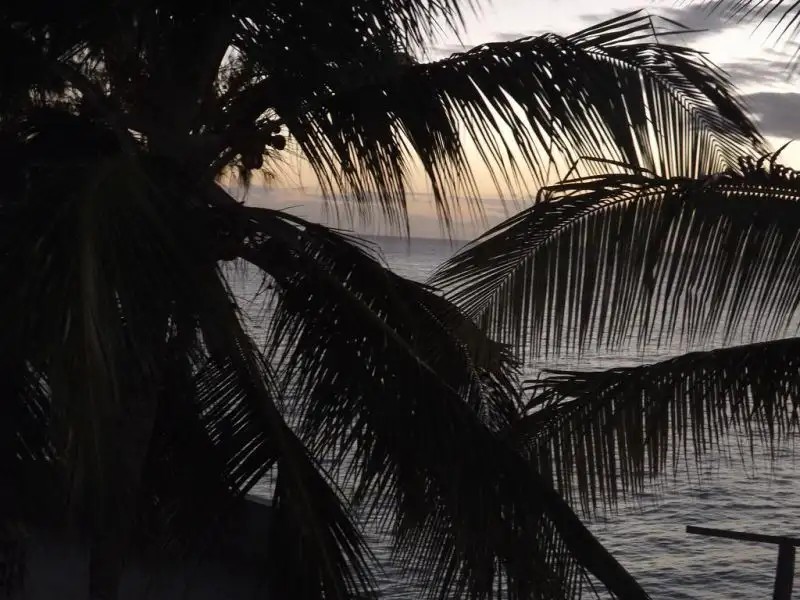 PARADISE BEACH BUNGALOWS