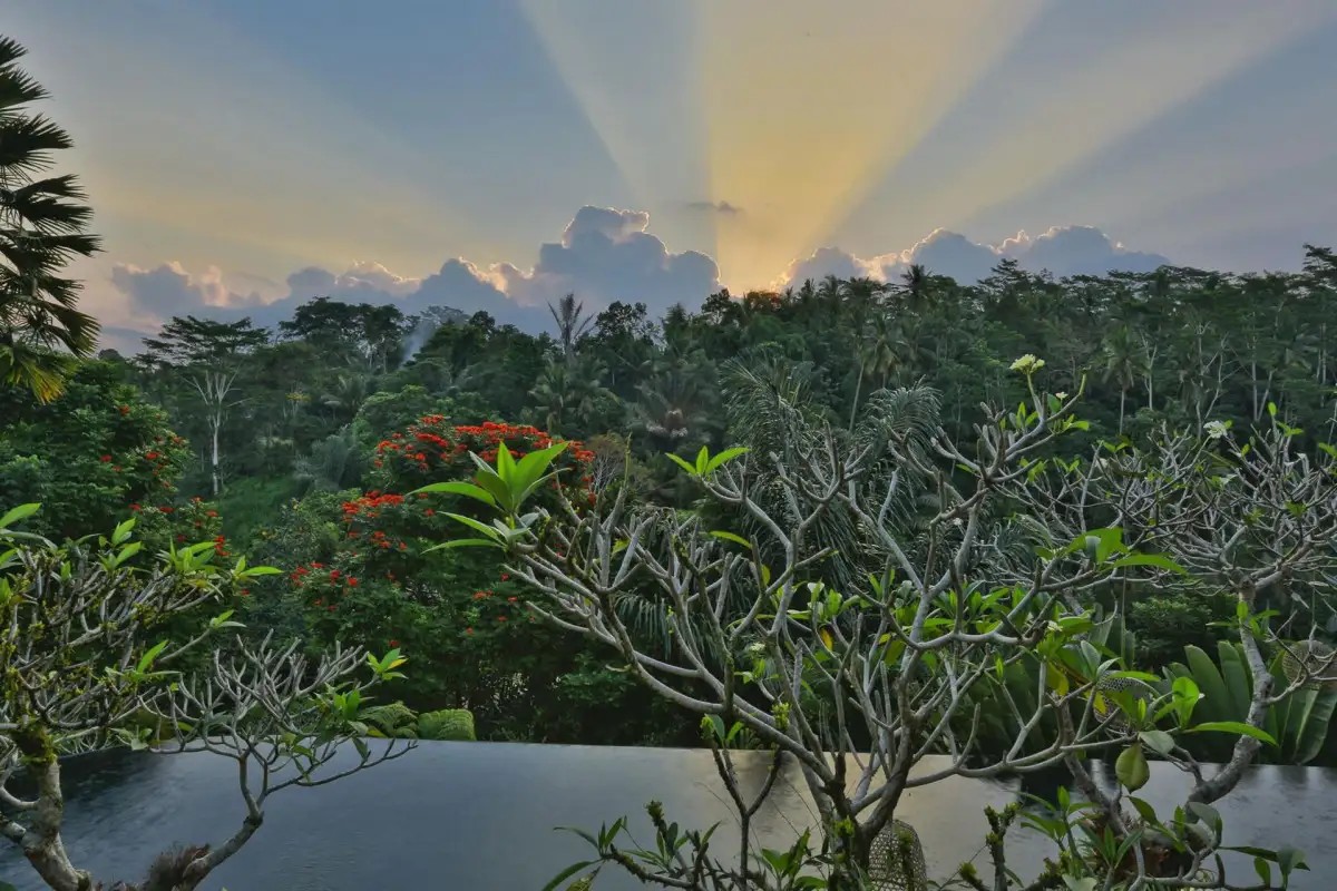 ALAM UBUD