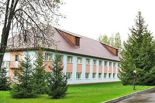 ЧАЙКОВСКИЙ ЦСГ