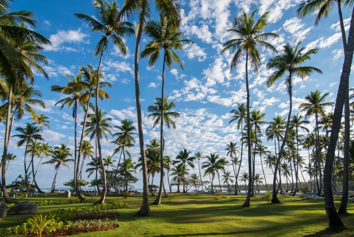 GRAND PARADISE SAMANA