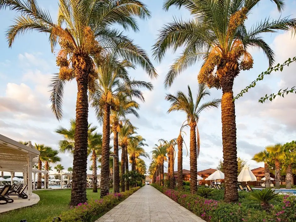 CALIMERA SERRA PALACE