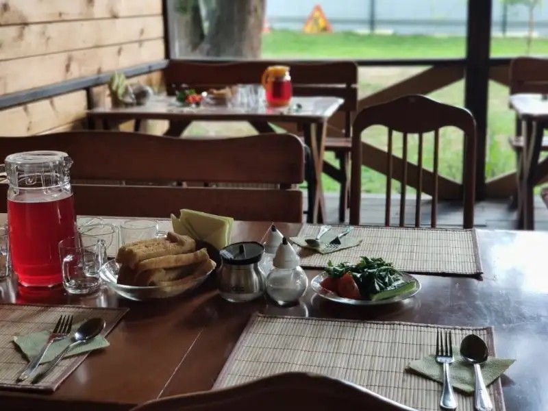 УСАДЬБА В ГОРАХ ТЕЛЕЦКОЕ