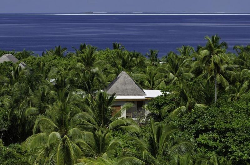 2 bedroom treetop pool villa