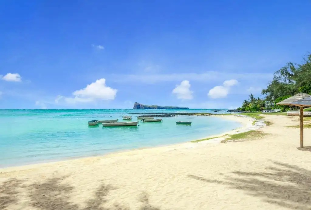 COIN DE MIRE ATTITUDE