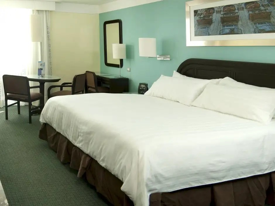 BARCELO SANTO DOMINGO