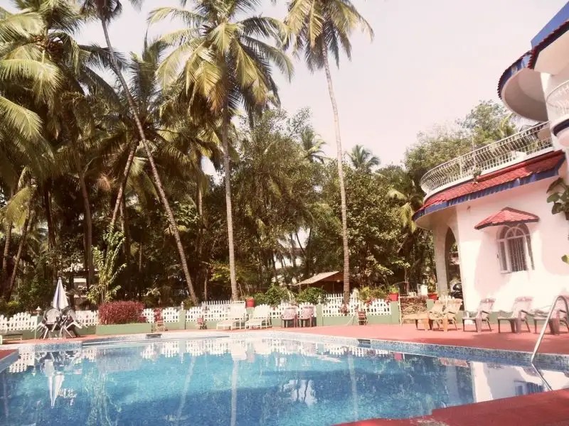 PALM VIEW INN
