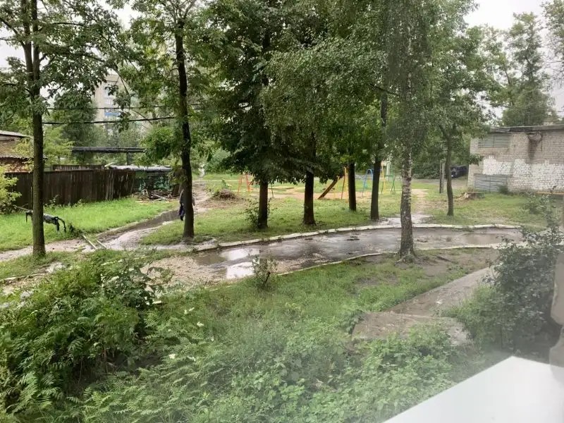 РОМАШКА