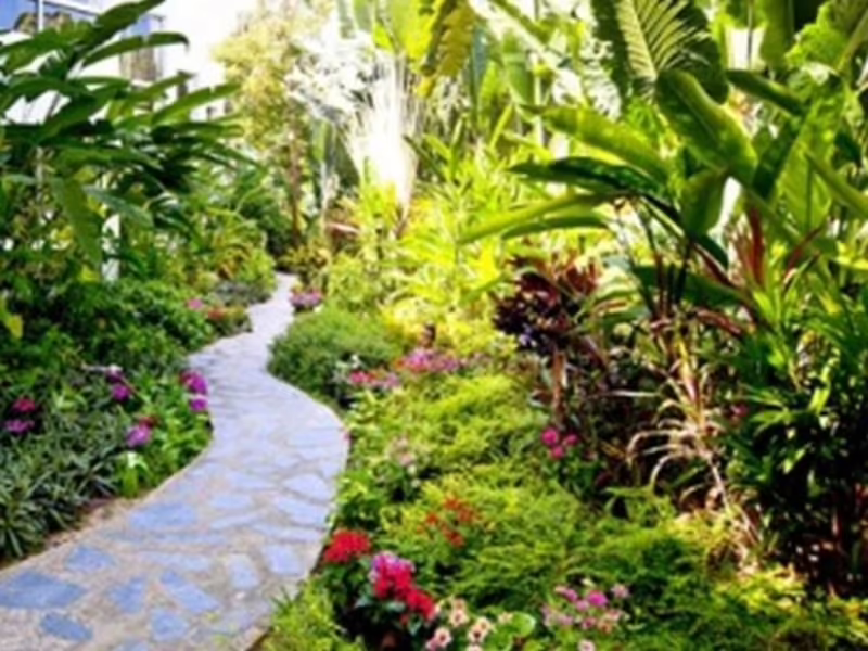 SAMED PAVILION RESORT