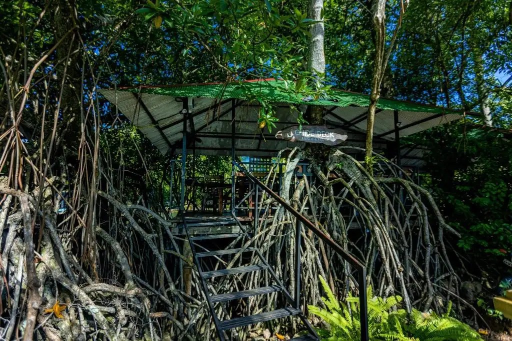 THE MANGROVE CAVE HOTEL
