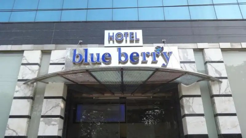 BLUEBERRY