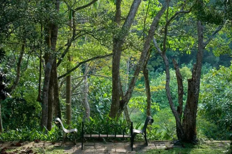 LUNUGANGA