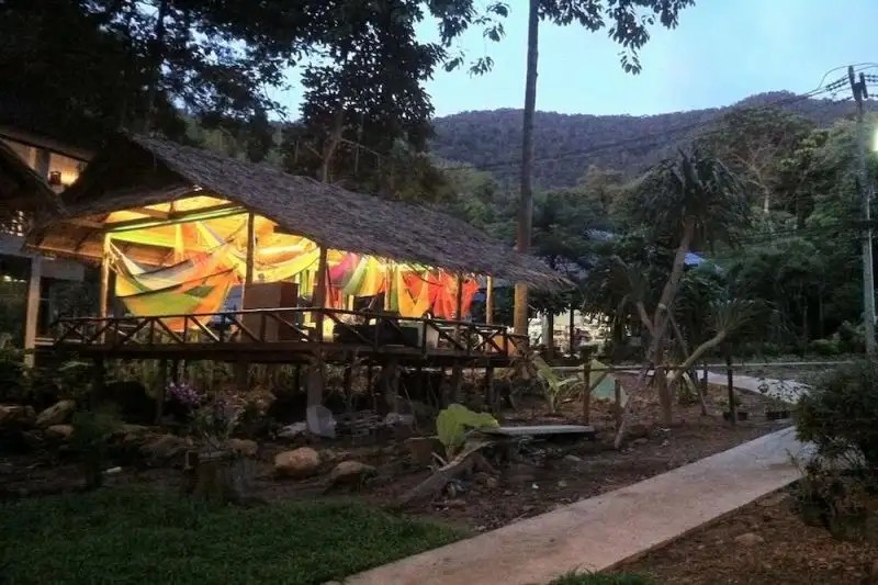 JUNGLE GARDEN