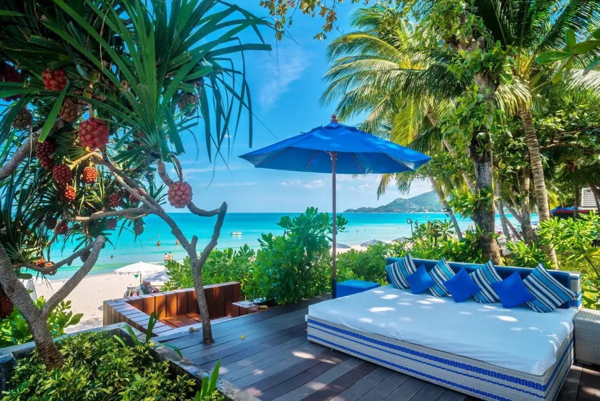 SYNERGY SAMUI