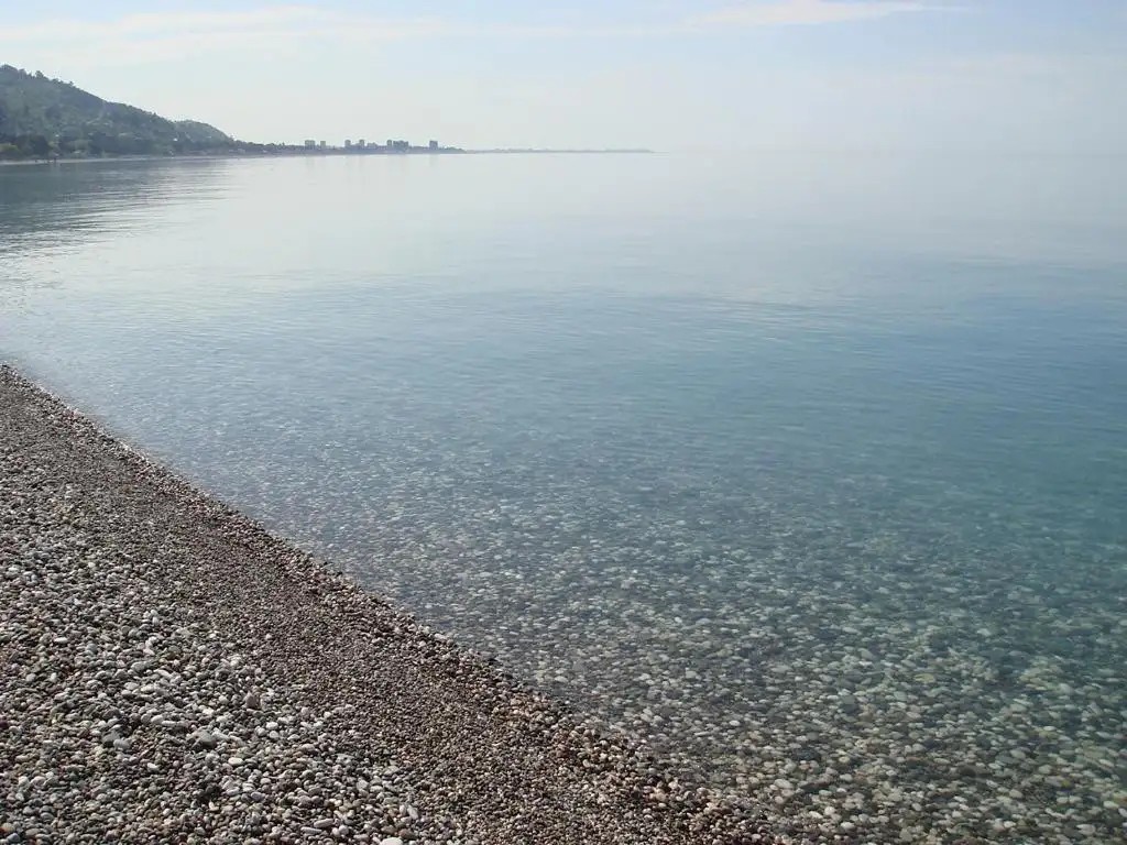 КОНТИНЕНТ ГАГРА